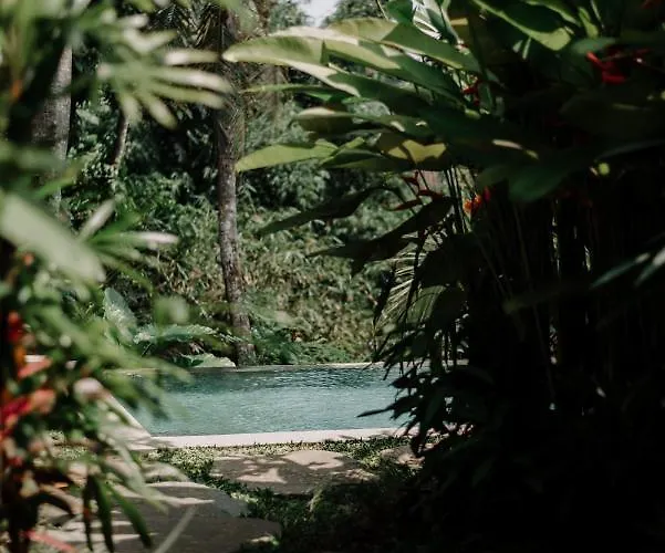 Dharuna * Ubud